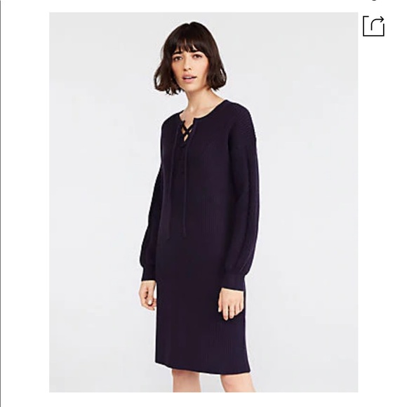 Ann Taylor Lace Up Sweater Dress In Night Sky, ski resort - Picture 1 of 7